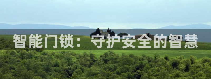如何下载jdbc：智能门锁：守护安全的智慧