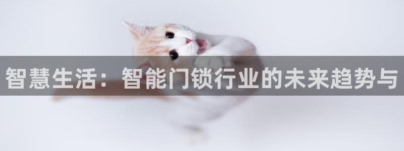jdb是什么平台：智慧生活：智能门锁行业的未来趋势与