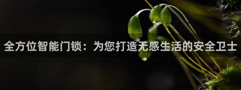 jdb电子游戏变脸2超级大奖视频：全方位智能门锁：为您打造无