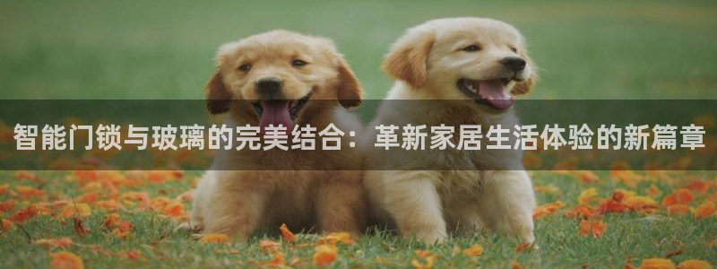 Jdb电子平台：智能门锁与玻璃的完美结合：革新家居生活体验的