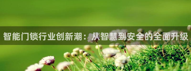 jdb游戏平台官网：智能门锁行业创新潮：从智慧到安全的全面升