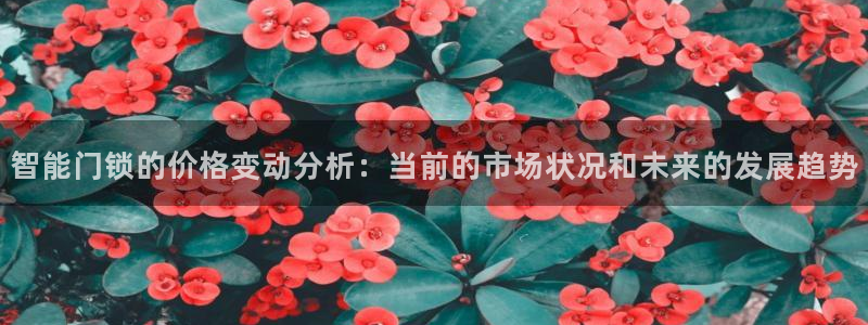 jdb电子飞鸟派对：智能门锁的价格变动分析：当前的市场状况和