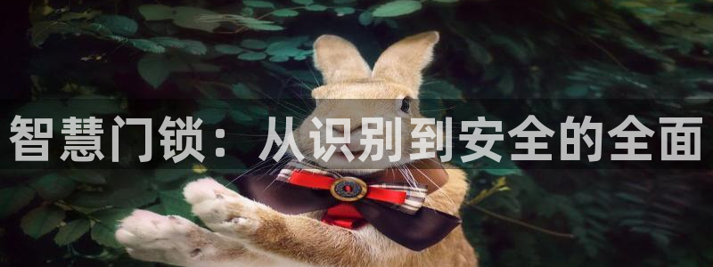 jdb电子游戏坑人套路：智慧门锁：从识别到安全的全面