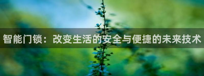 jdb飞鸟派发大奖视频：智能门锁：改变生活的安全与便捷的未来