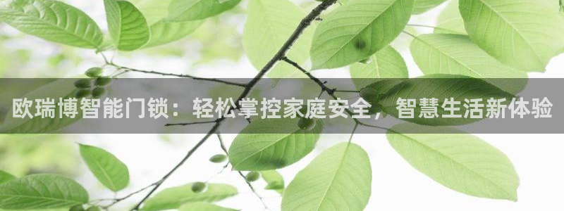 jdb电子龙舞大奖视频：欧瑞博智能门锁：轻松掌控家庭安全，智