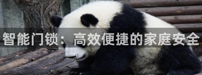 jdb财神捕鱼apply79点cn：智能门锁：高效便捷的家庭