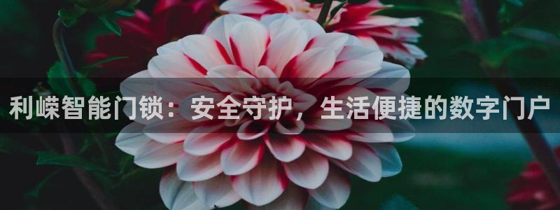 jdb游戏星期几放水：利嵘智能门锁：安全守护，生活便捷的数字