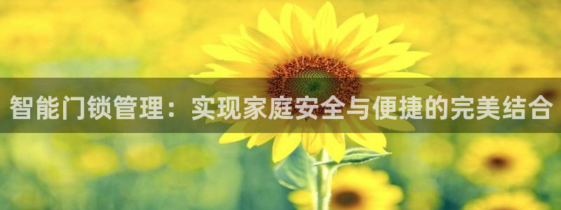 下载jdbc mysql数据库驱动：智能门锁管理：实现家庭安