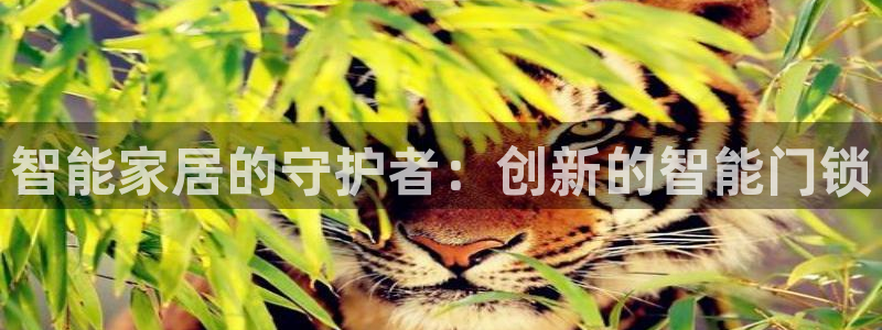 jdb游戏：智能家居的守护者：创新的智能门锁