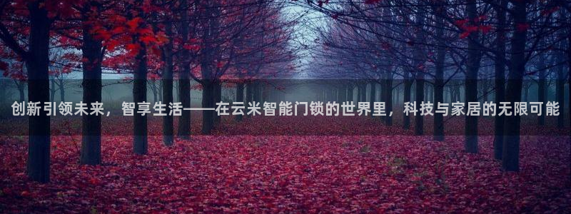 jdb集团：创新引领未来，智享生活——在云米智能门锁的世界里