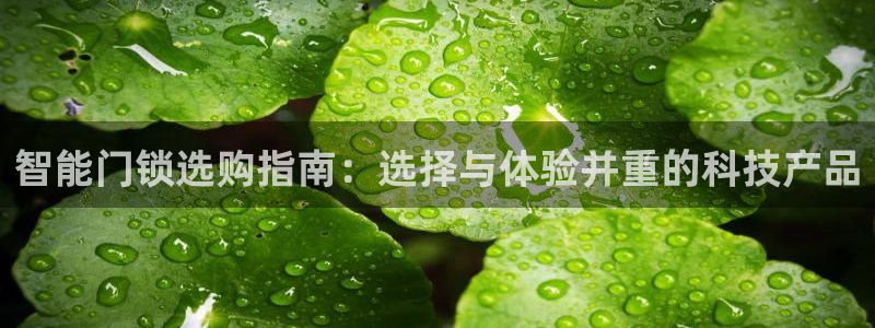 jdb电子哪个游戏容易爆大奖：智能门锁选购指南：选择与体验并