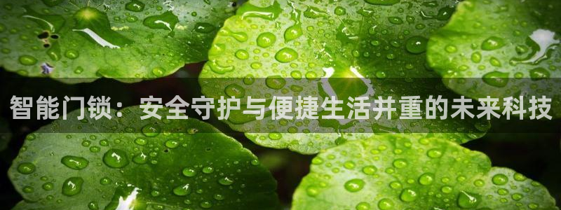 jdbc实现注册：智能门锁：安全守护与便捷生活并重的未来科技
