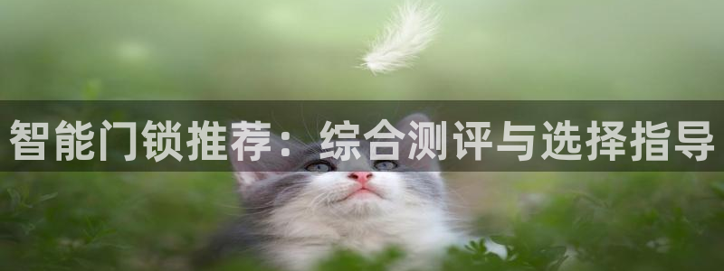 JDB电子官方网站：智能门锁推荐：综合测评与选择指导