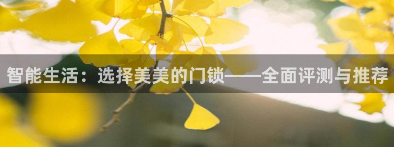 JDB电子游戏飞鸟派对宝箱：智能生活：选择美美的门锁——全面