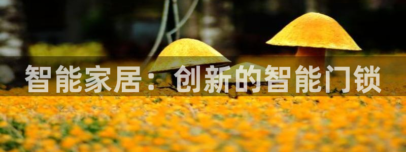 jdb电子模拟器体育官网入口