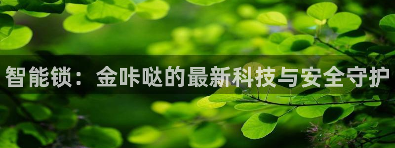 JDB电子公司官网：智能锁：金咔哒的最新科技与安全守护