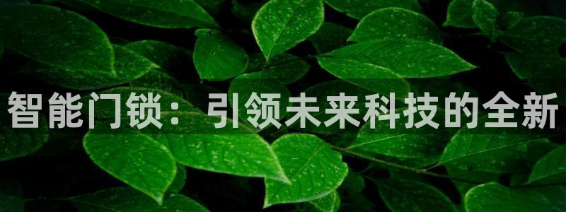 jdbc2.1.apk：智能门锁：引领未来科技的全新