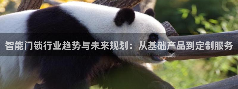 jdb电子平台台湾黑熊：智能门锁行业趋势与未来规划：从基础产