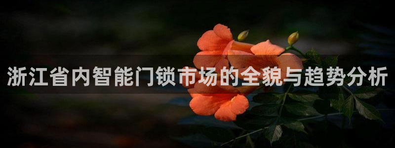 jdb电子平台控制：浙江省内智能门锁市场的全貌与趋势分析