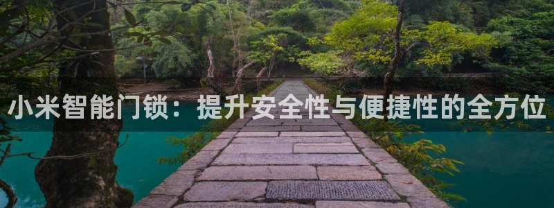 富豪哥游戏jdb：小米智能门锁：提升安全性与便捷性的全方位