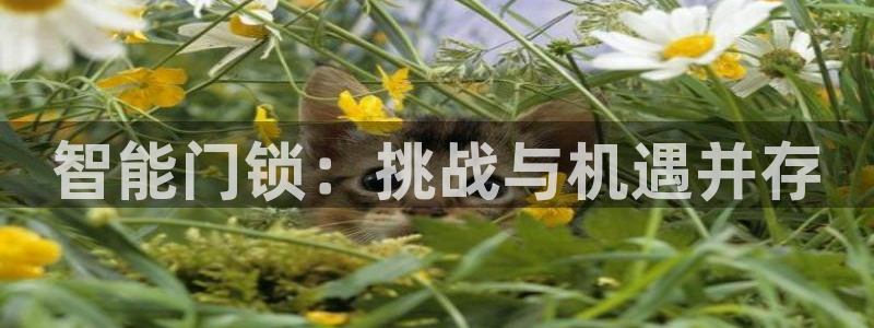 jdb飞鸟派对大奖视频：智能门锁：挑战与机遇并存