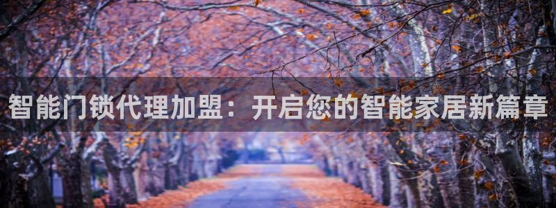 jdb网址多少：智能门锁代理加盟：开启您的智能家居新篇章