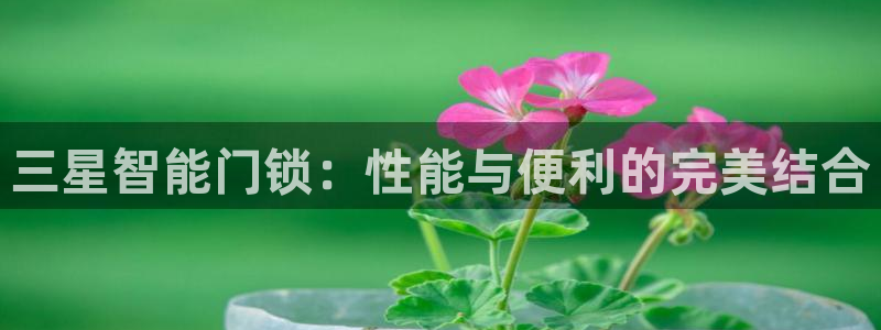 jdbc实现注册：三星智能门锁：性能与便利的完美结合