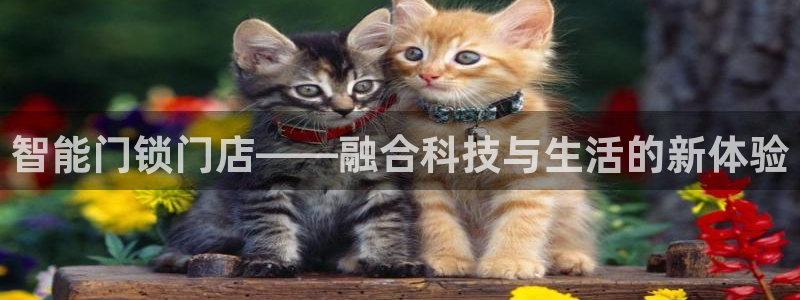 jdbc2.0.apk：智能门锁门店——融合科技与生活的新体