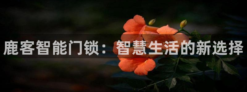 winningmaskll-jdb电子夺宝：鹿客智能门锁：智
