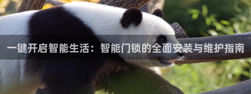 jdb电子台湾黑熊：一键开启智能生活：智能门锁的全面安装与维