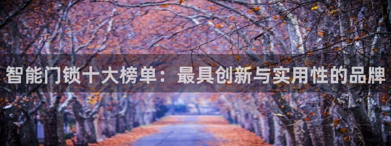 jdb电子夺宝官网:智能门锁十大榜单:最具创新与实用性的品牌