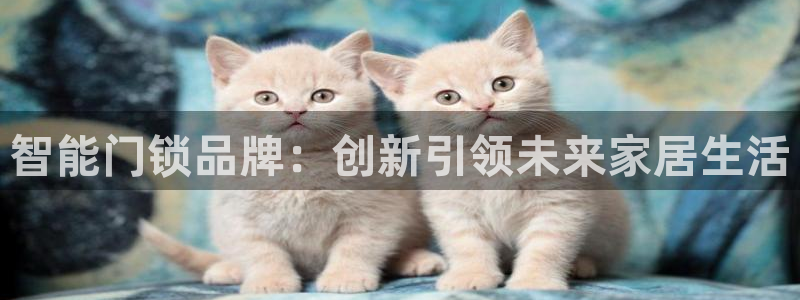 jdb电子游戏雷神之锤大奖视频：智能门锁品牌：创新引领未来家