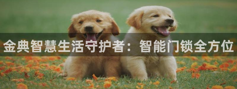 jdb夺宝游戏中奖视频：金典智慧生活守护者：智能门锁全方位