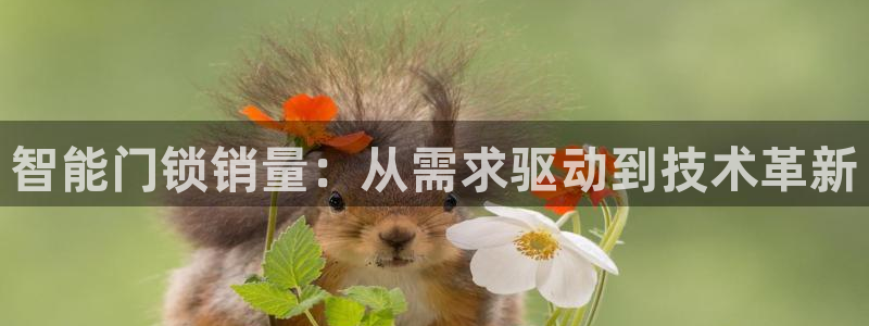 jdb电子试玩平台官网版：智能门锁销量：从需求驱动到技术革新
