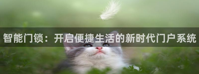 jdb怎么玩出高分：智能门锁：开启便捷生活的新时代门户系统