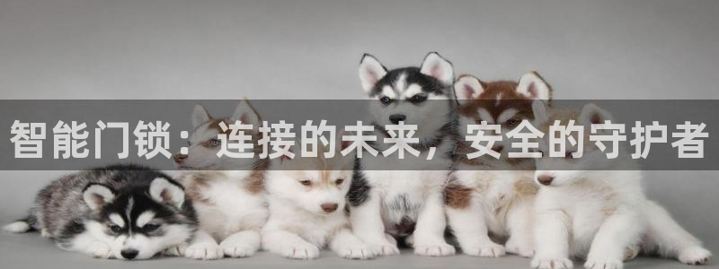 jdb电子试玩链接：智能门锁：连接的未来，安全的守护者