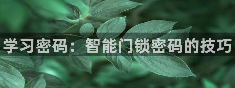jdb电子游戏平台网站：学习密码：智能门锁密码的技巧