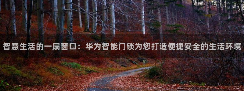 jdb是什么公司：智慧生活的一扇窗口：华为智能门锁为您打造便