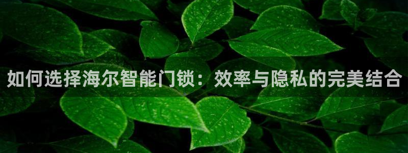 jdb电子游戏坑人套路：如何选择海尔智能门锁：效率与隐私的完