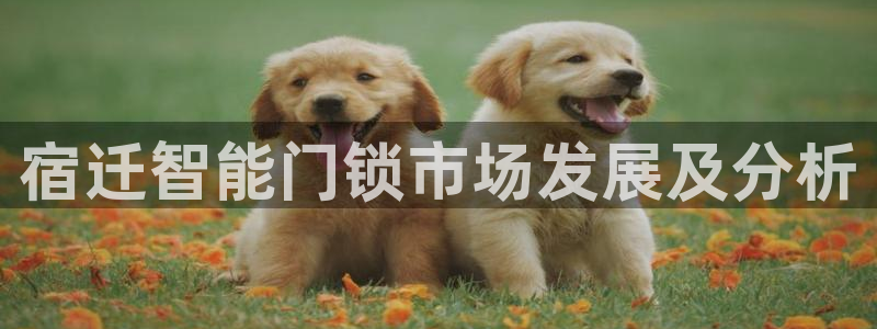 jdb电子忍者x爆奖：宿迁智能门锁市场发展及分析