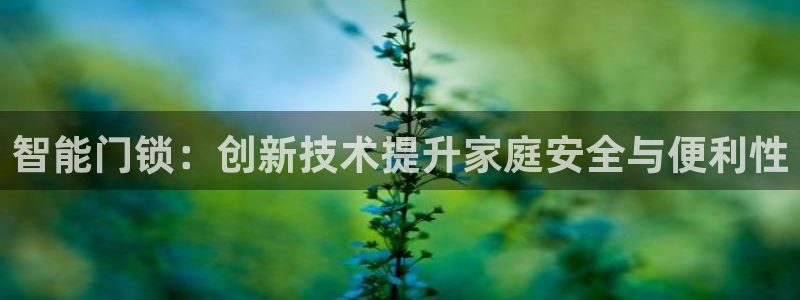 jdb电子平台台湾黑熊：智能门锁：创新技术提升家庭安全与便利