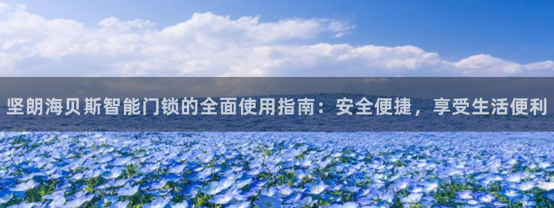 jdbc下载安装教程：坚朗海贝斯智能门锁的全面使用指南：安全