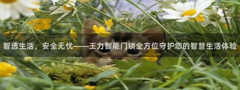 夺宝jdb电子交流：智选生活，安全无忧——王力智能门锁全方位
