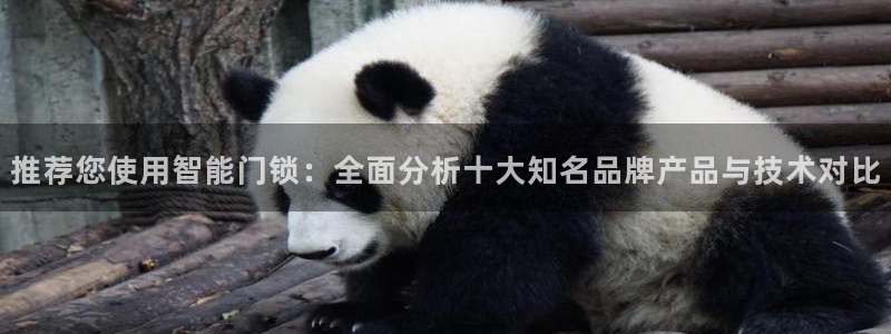 jdb五龙捕鱼吐分规律：推荐您使用智能门锁：全面分析十大知名