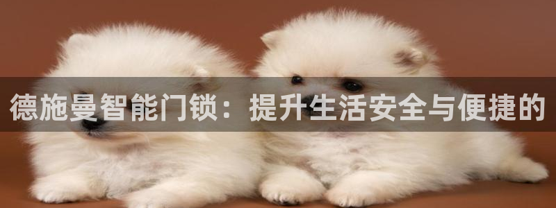 jdb电子财神捕鱼是连锁的吗：德施曼智能门锁：提升生活安全与