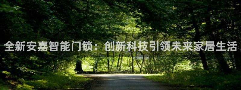 jdb电子平台98db,in：全新安嘉智能门锁：创新科技引领