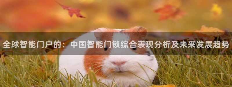 jdb电子金刚玩法：全球智能门户的：中国智能门锁综合表现分析