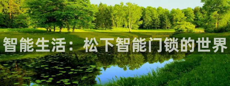 jdbapp下载：智能生活：松下智能门锁的世界