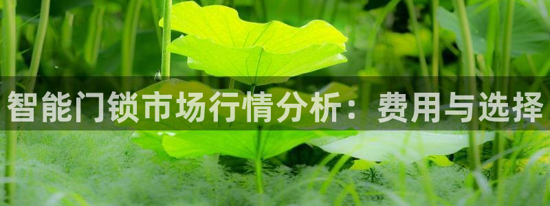 jdb试玩网：智能门锁市场行情分析：费用与选择