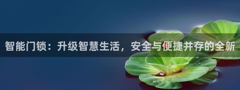下载jdb：智能门锁：升级智慧生活，安全与便捷并存的全新